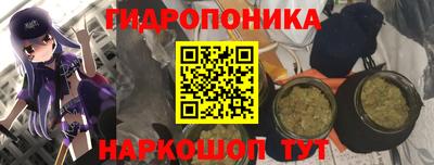 spice Канаш
