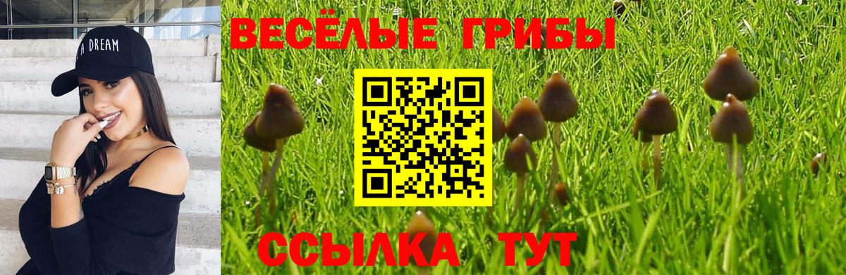 Псилоцибиновые грибы мицелий Нерюнгри